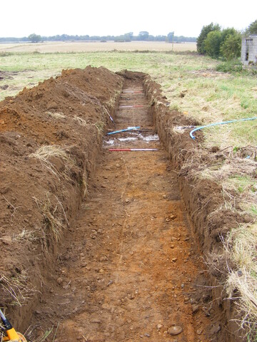SHG24983 (8).jpg