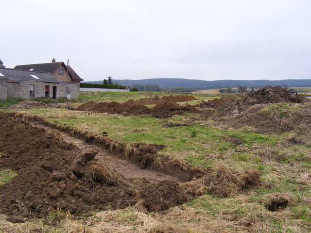 SHG24983 (23).jpg