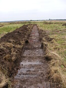 SHG24983 (28).jpg