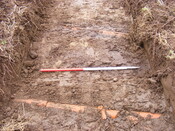 SHG24983 (29).jpg