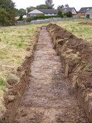 SHG24983 (30).jpg