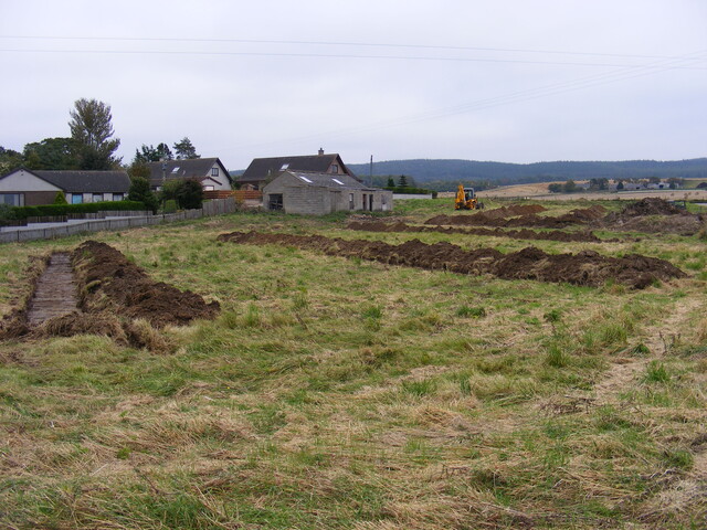 SHG24983 (32).jpg