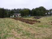 SHG24983 (33).jpg