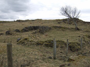 photo 02 .jpg