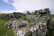 _DSC6152.jpg