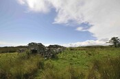 _DSC6154.jpg