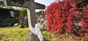 _DSC6538.jpg