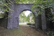_DSC6486.jpg