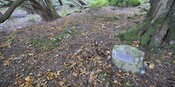 _DSC6493.jpg