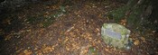 _DSC6494.jpg