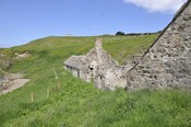 _DSC5940.jpg