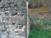 SHG25000_19.jpg