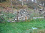 SHG25000_20.jpg