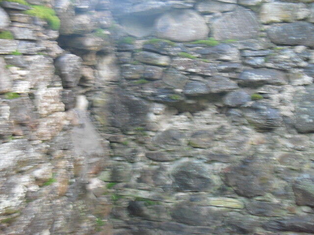 SHG25000_22.jpg
