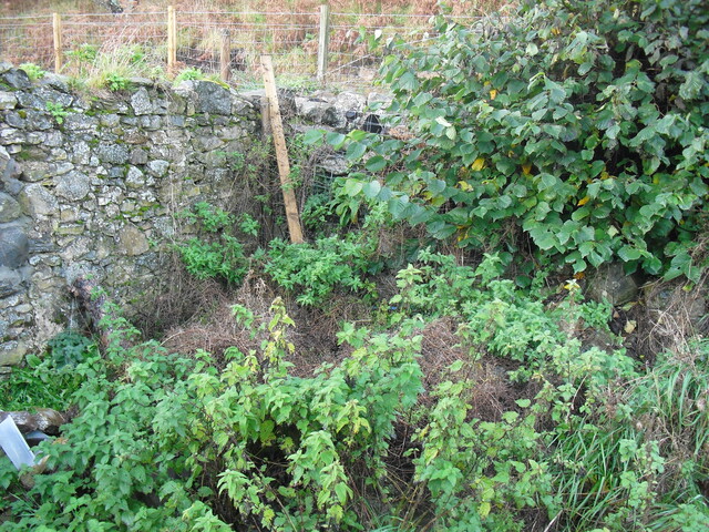 SHG25000_25.jpg