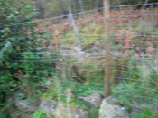 SHG25000_31.jpg