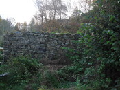 SHG25000_33.jpg