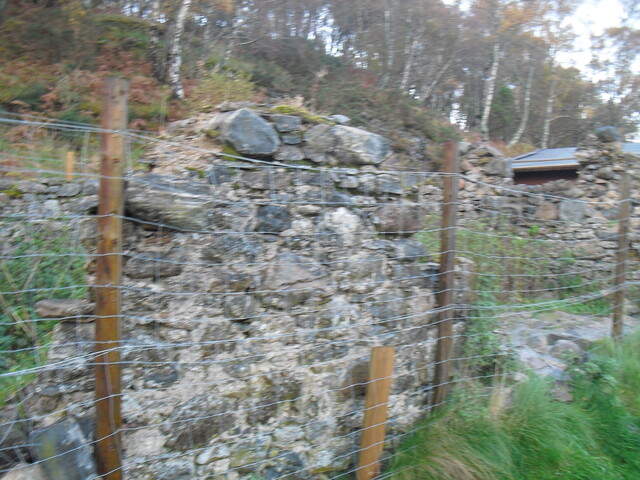 SHG25000_34.jpg