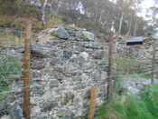 SHG25000_34.jpg