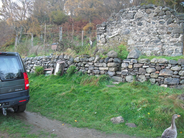 SHG25000_6.jpg