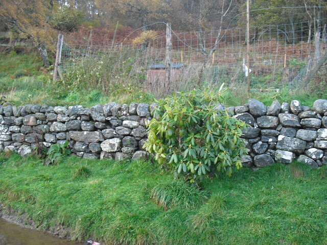 SHG25000_8.jpg