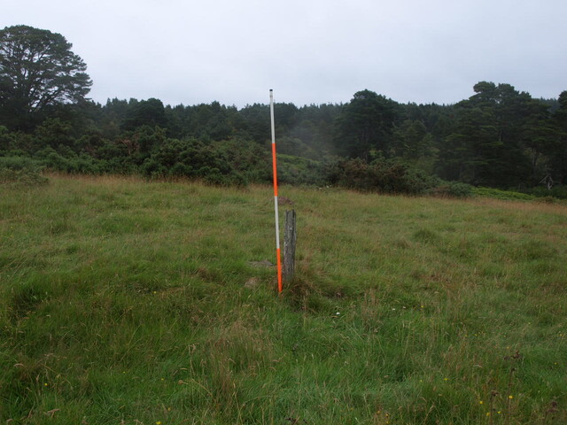 AN7   015.JPG