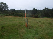 AN7   015.JPG