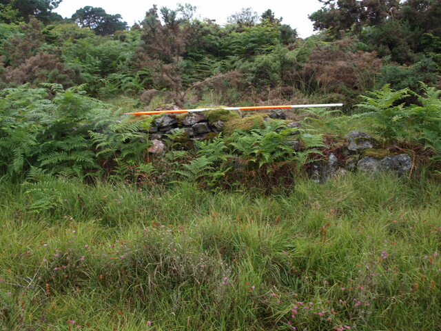 AN7   022.JPG