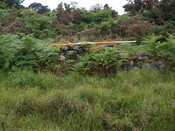 AN7   022.JPG