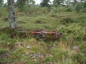 AN7   026.JPG
