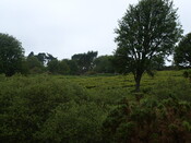 AN7   034.JPG