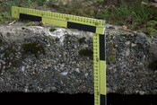 JMBriscoe_EOS450_IMG3974-28_09_2010-09_56_46_2.jpg