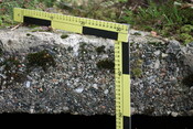 JMBriscoe_EOS450_IMG3974-28_09_2010-09_56_46_3.JPG