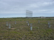 SDC10562.JPG