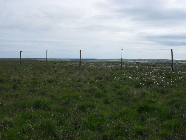 SDC10563.JPG