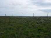 SDC10563.JPG