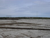 SDC10565.JPG