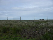 SDC10566.JPG