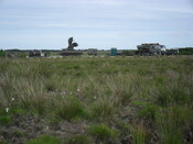 SDC10567.JPG