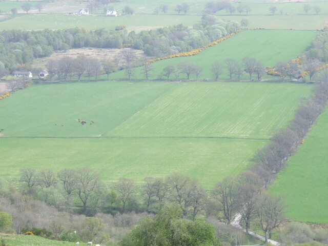 SHG25038_4.jpg