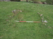 SHG25038_5.jpg