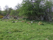 SHG25038_8.jpg