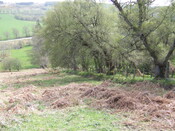 SHG25038_11.jpg