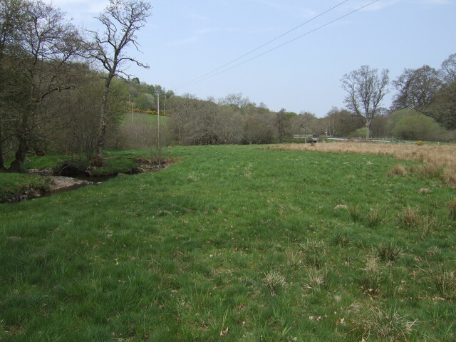 SHG25038_18.jpg