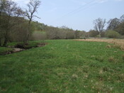SHG25038_18.jpg