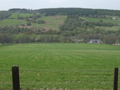 SHG25038_22.jpg