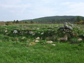 SHG25038_24.jpg