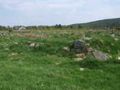 SHG25038_25.jpg
