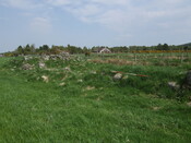 SHG25038_26.jpg