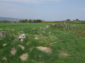 SHG25038_27.jpg